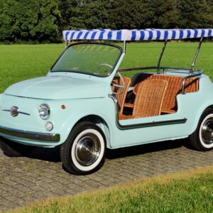 Fiat Jolly Celeste Blue 1 left front